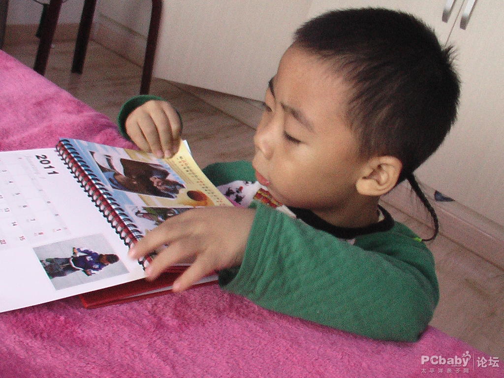 海豚對(duì)這本臺(tái)歷可是很有興趣呢，一直沒(méi)撒手