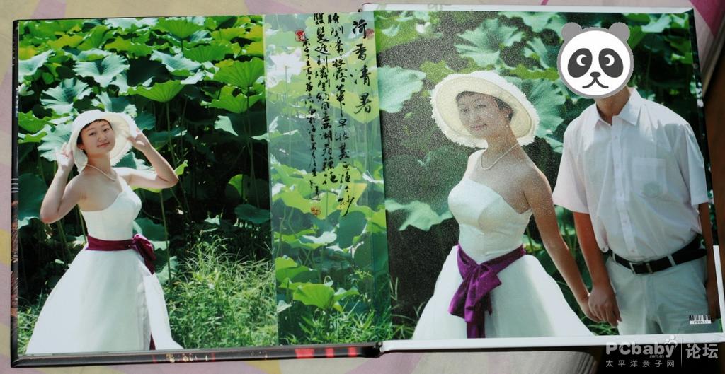 荷塘月色,哈哈,只能想想